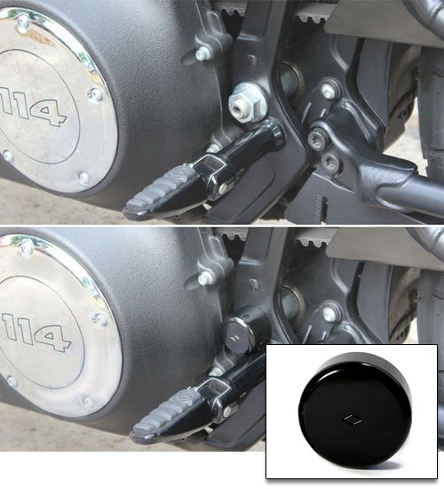 Swingarm Pivot Axle Cover 18-UP M8 Models