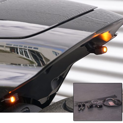 LED indicator/taillight combination for FXDR Models