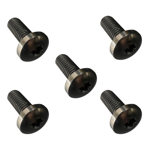 Rear Brake Rotor Bolts