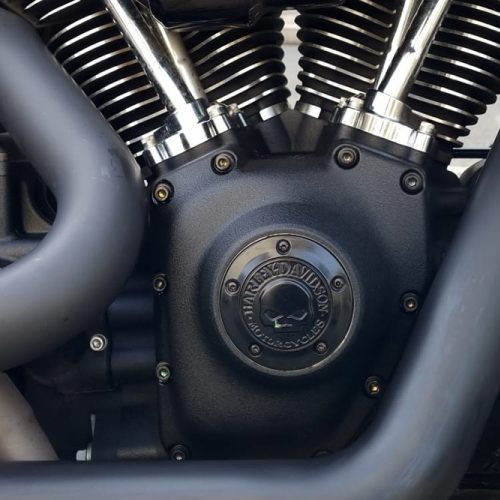 Engine Bolt Set Twin Cam Models