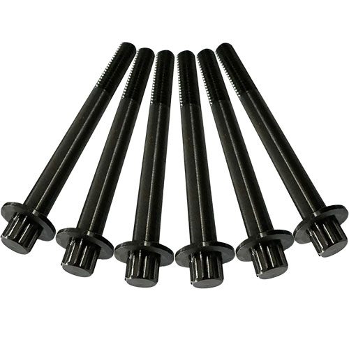 12 Point Black Stainless Steel Crankcase Bolts for M8 Models